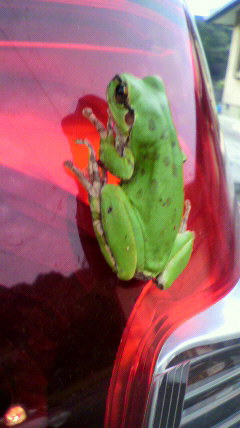 d0237309_0354465.jpg