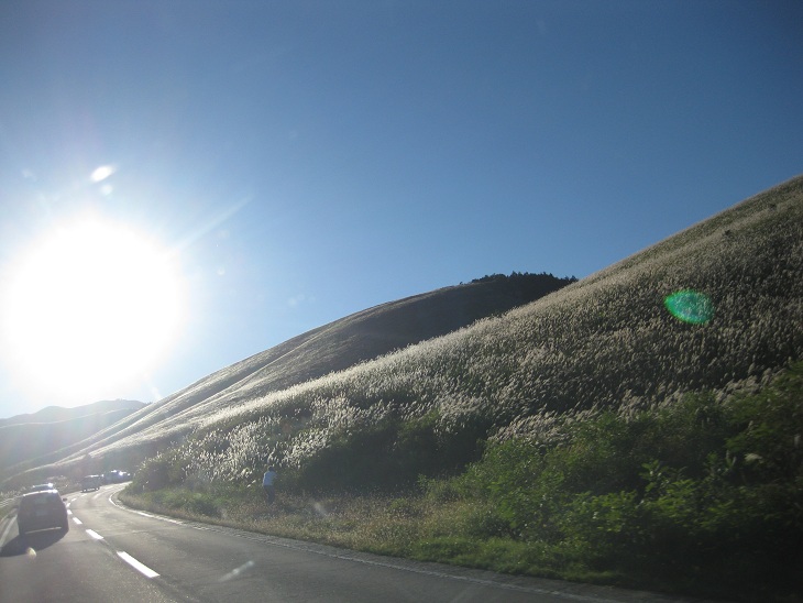 f0179209_14444093.jpg