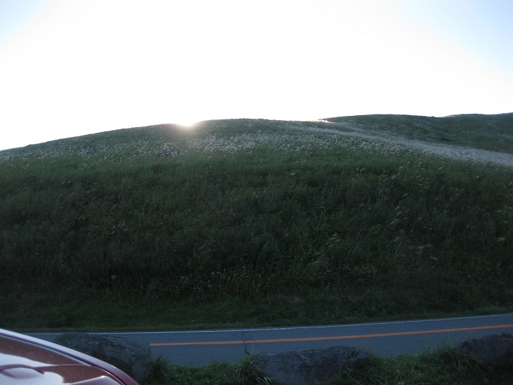 f0179209_14452450.jpg