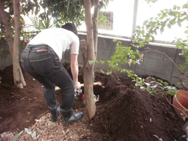 c0116610_1619285.jpg
