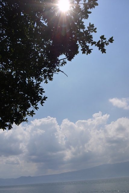 e0007510_20485423.jpg