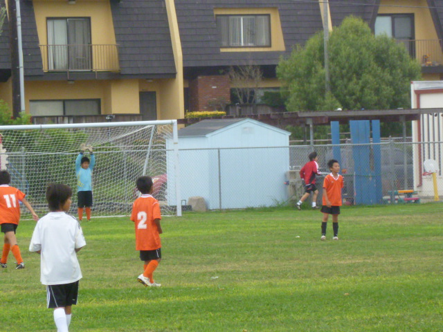 a0144811_75945.jpg