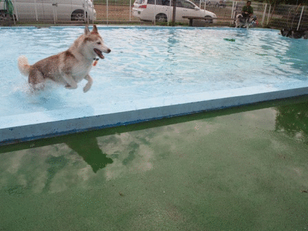 b0207615_2310326.gif