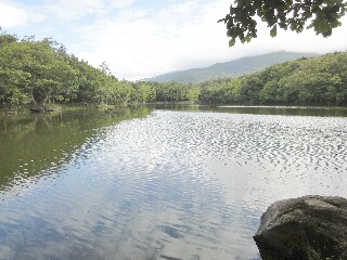 f0181524_18191260.jpg