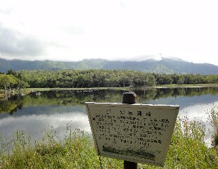 f0181524_1853058.jpg