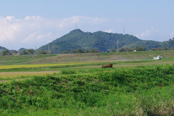 f0007926_17204985.jpg