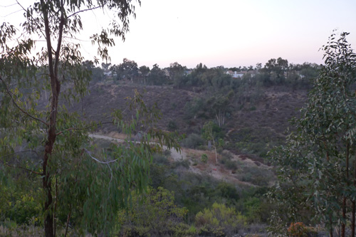 e0133328_13362020.jpg