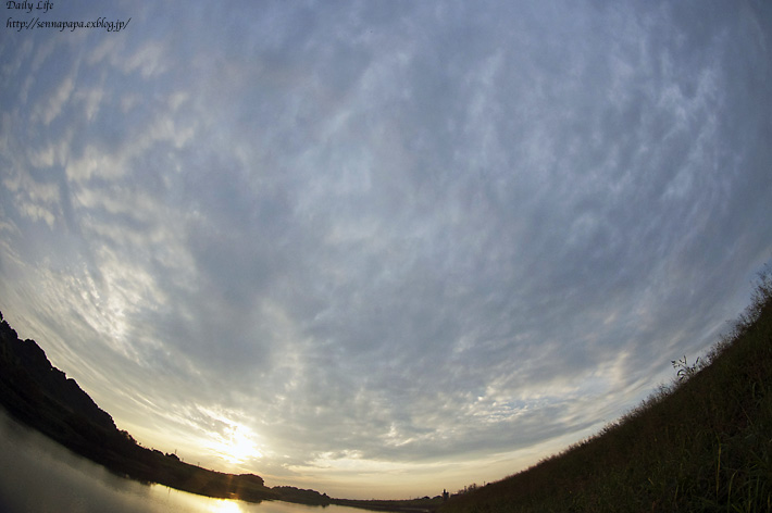 b0229832_1957275.jpg