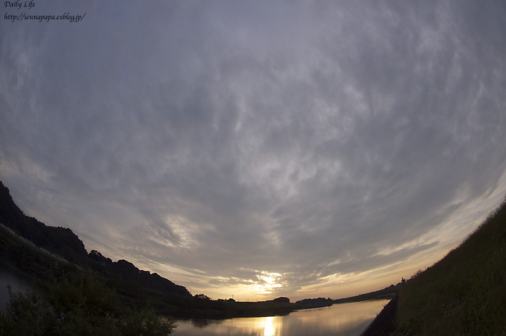 b0229832_1959205.jpg