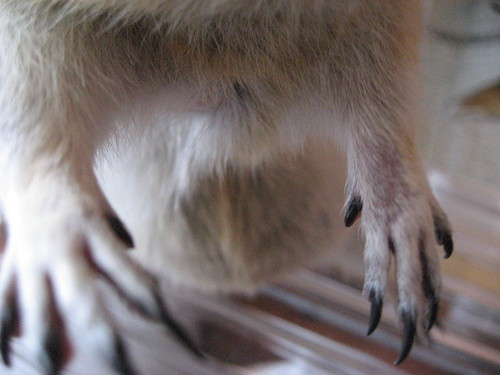 b0138734_209317.jpg
