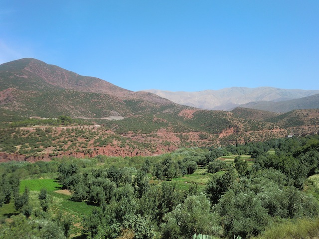 c0170236_21351171.jpg