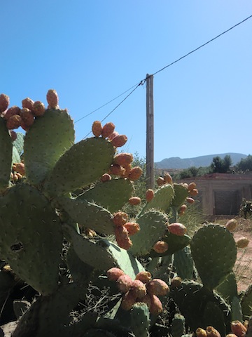 c0170236_21351189.jpg