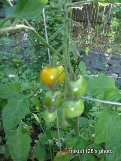 f0045736_657189.jpg