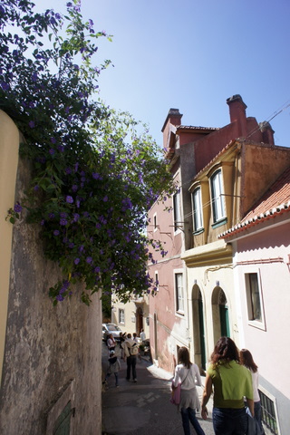 c0156438_1151369.jpg