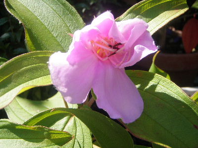 a0054240_21241845.jpg
