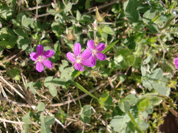 e0110940_22155871.jpg