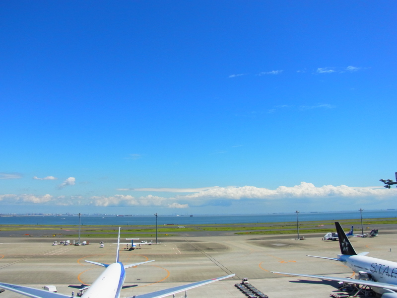 b0190242_2249643.jpg