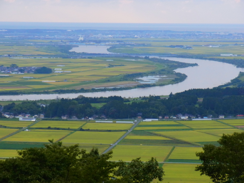 b0190242_22512722.jpg