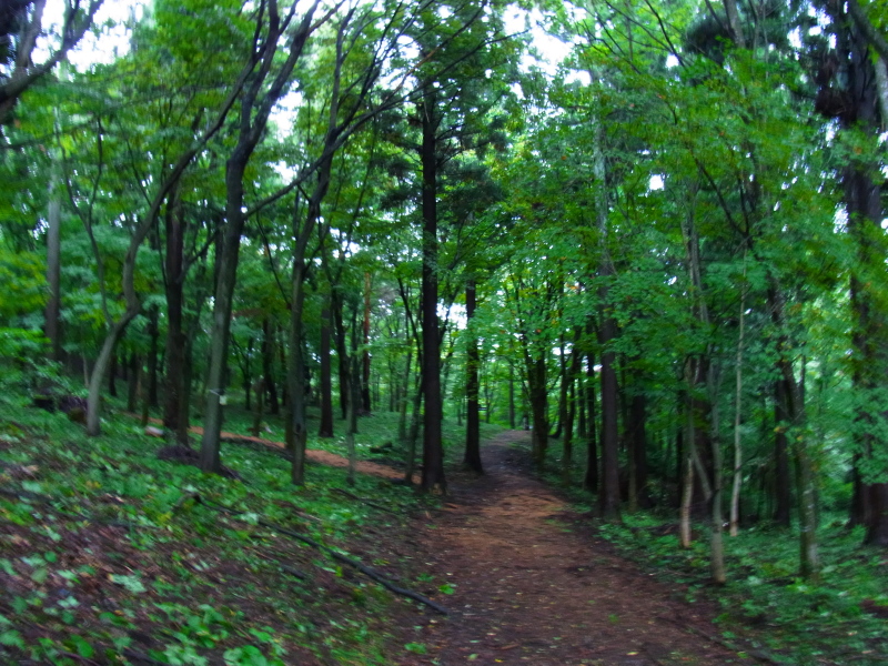 b0190242_22574570.jpg