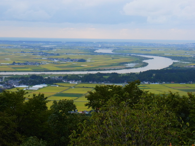 b0190242_2257823.jpg