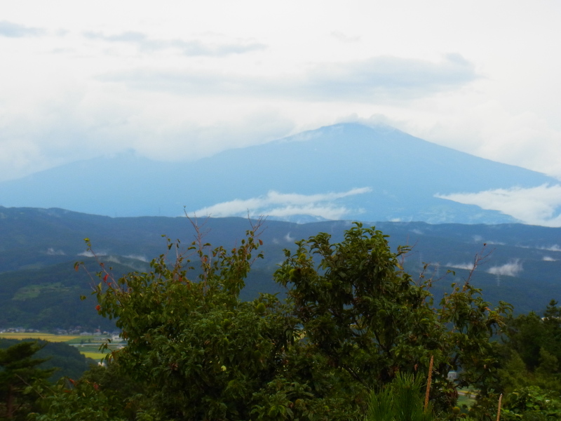 b0190242_2334834.jpg