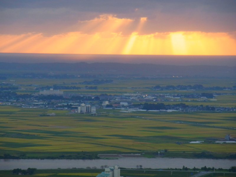 b0190242_23565.jpg