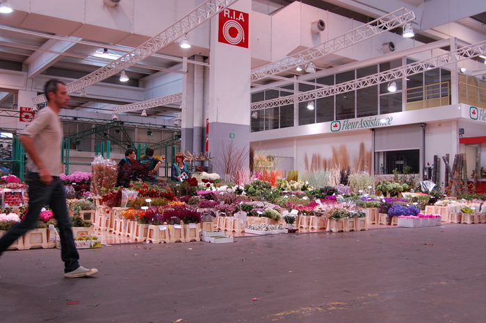 f0055142_2023438.jpg