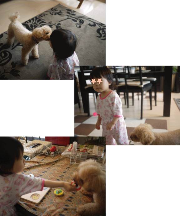 b0182846_1540285.gif