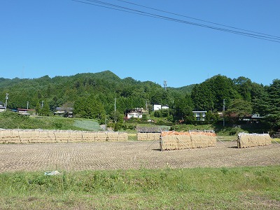 c0220047_13444533.jpg