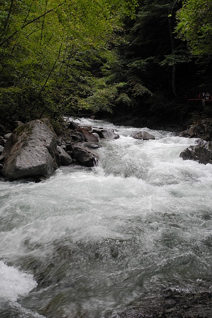 b0122448_2034496.jpg