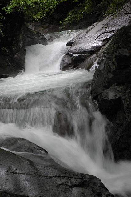 b0122448_20365184.jpg