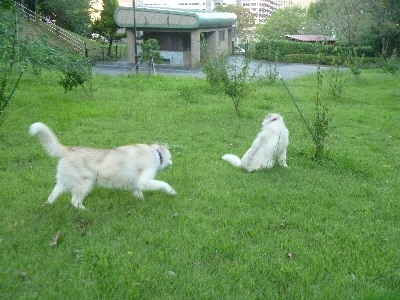 e0121548_20215042.jpg