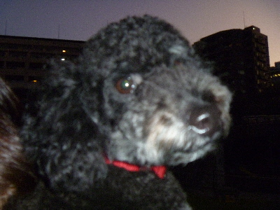 e0121548_20382477.jpg