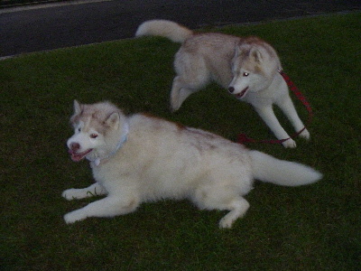 e0121548_20414966.jpg