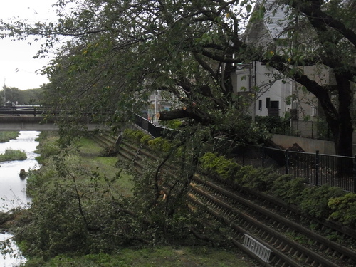 e0183648_0441248.jpg