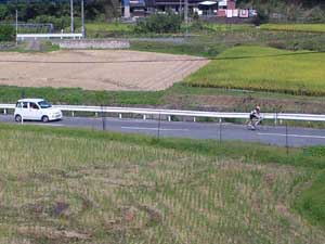 f0229250_629241.jpg