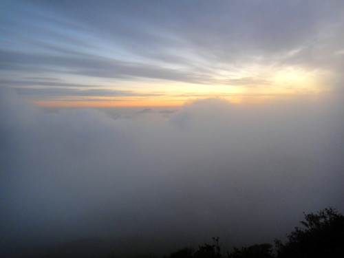 c0179351_16382330.jpg