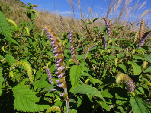 c0179351_16473186.jpg