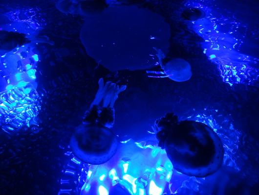 d0140655_1103453.jpg