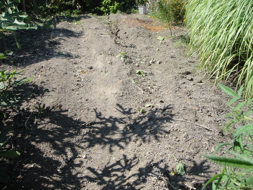 c0108460_16304962.jpg