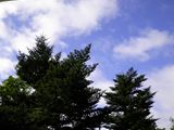 d0045362_11191991.jpg