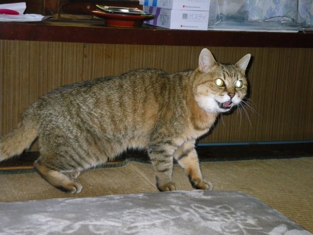 f0199565_23114798.jpg