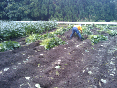 f0044270_017088.jpg