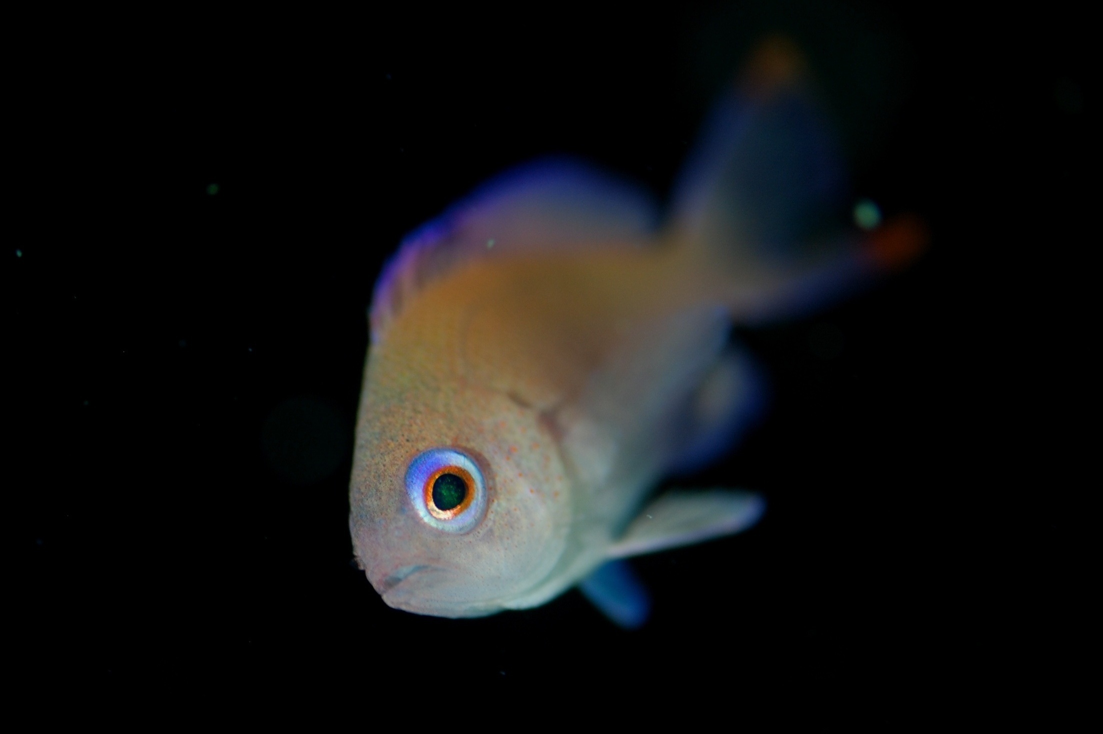 c0181073_2014201.jpg
