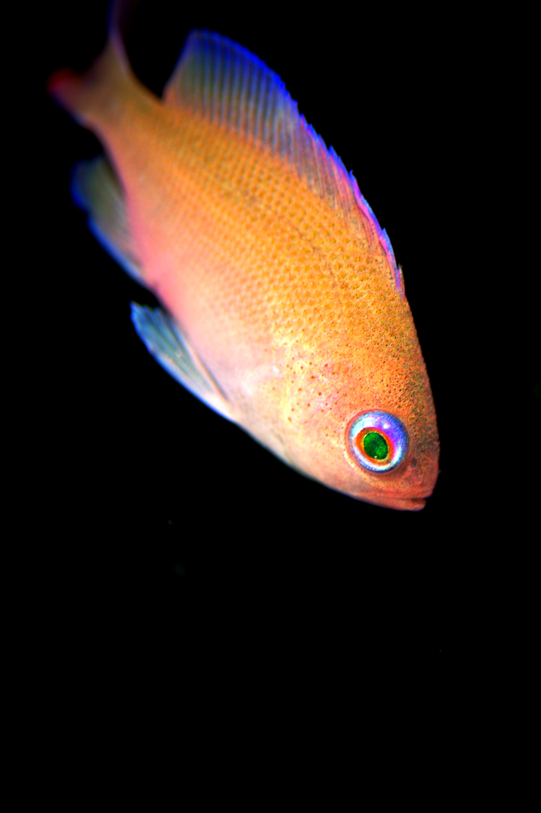 c0181073_2054536.jpg