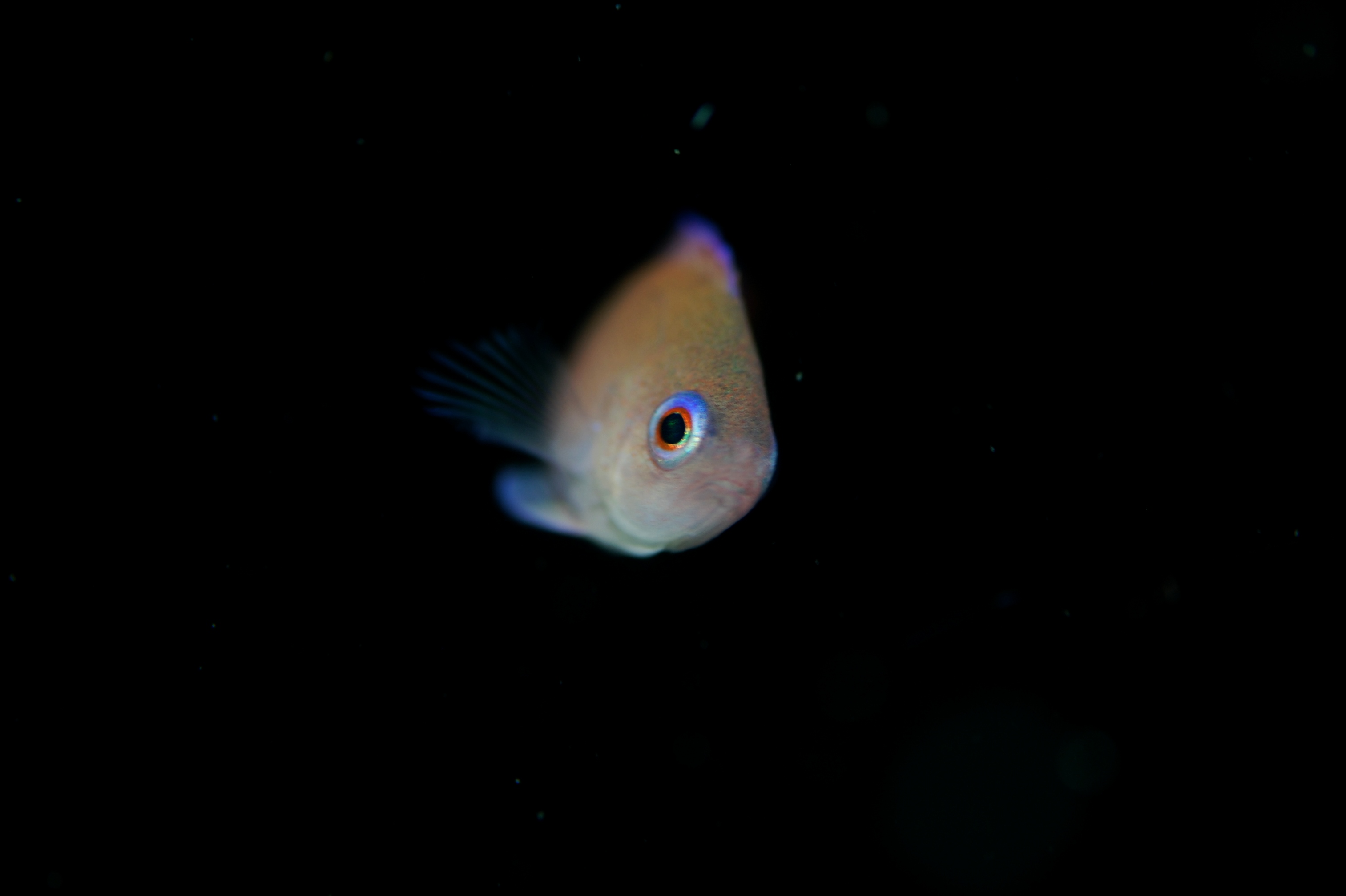 c0181073_20813100.jpg