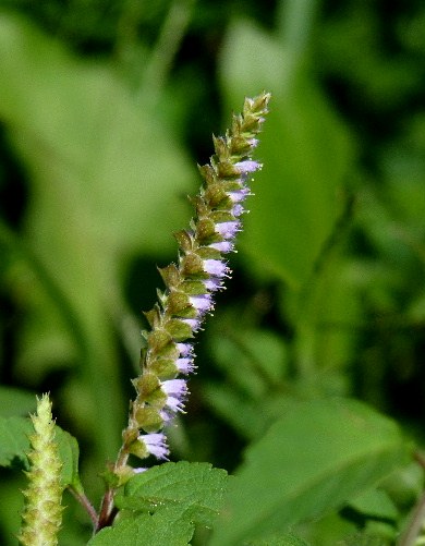 d0084473_19405363.jpg