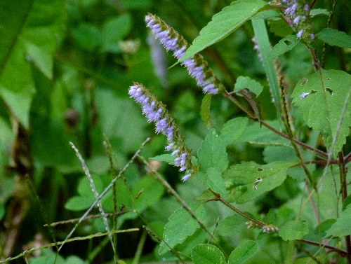 d0084473_19412384.jpg