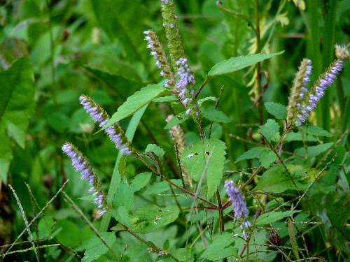 d0084473_19413751.jpg