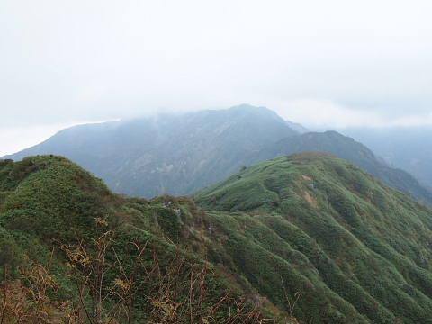 c0022275_20404182.jpg